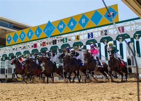 The consensus box of Del Mar horse racing picks comes from handicappers Bob Mieszerski, Art Wilson, Terry Turrell and Eddie Wilson. Here …